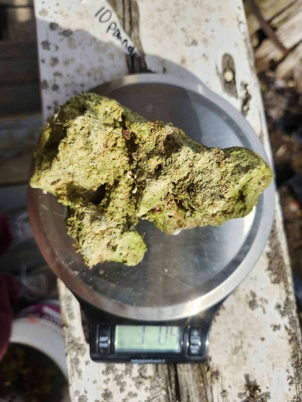Fiji Dry Base Rock for Saltwater Aquarium Setup Natural Reef Rock Aquascaping